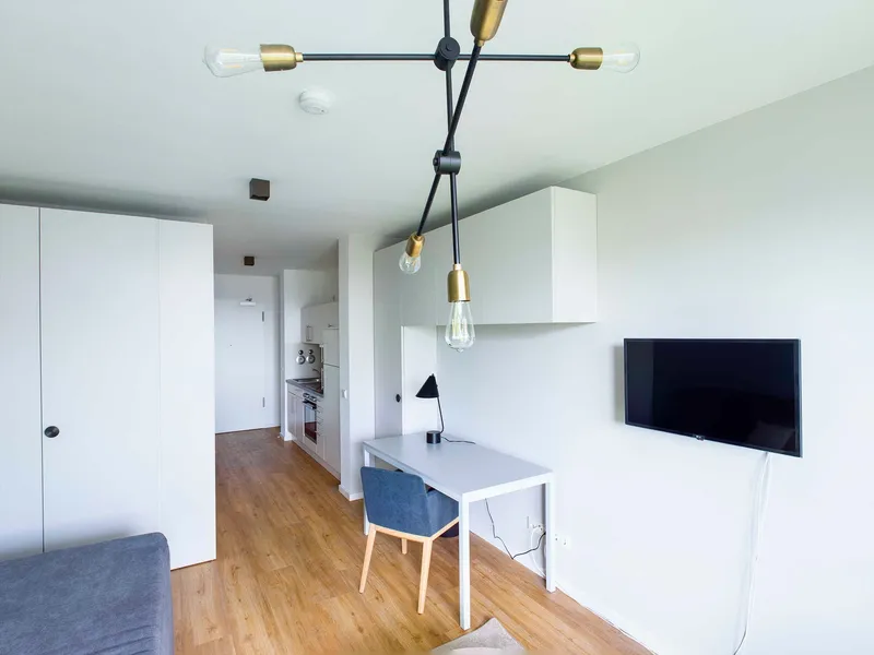 Möbliert 1 Zimmer Studio mit Aufzug und Balkon — photo 1